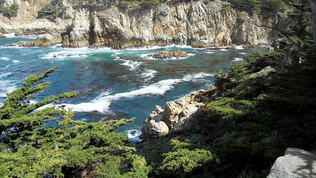 A cove at Point Lobos